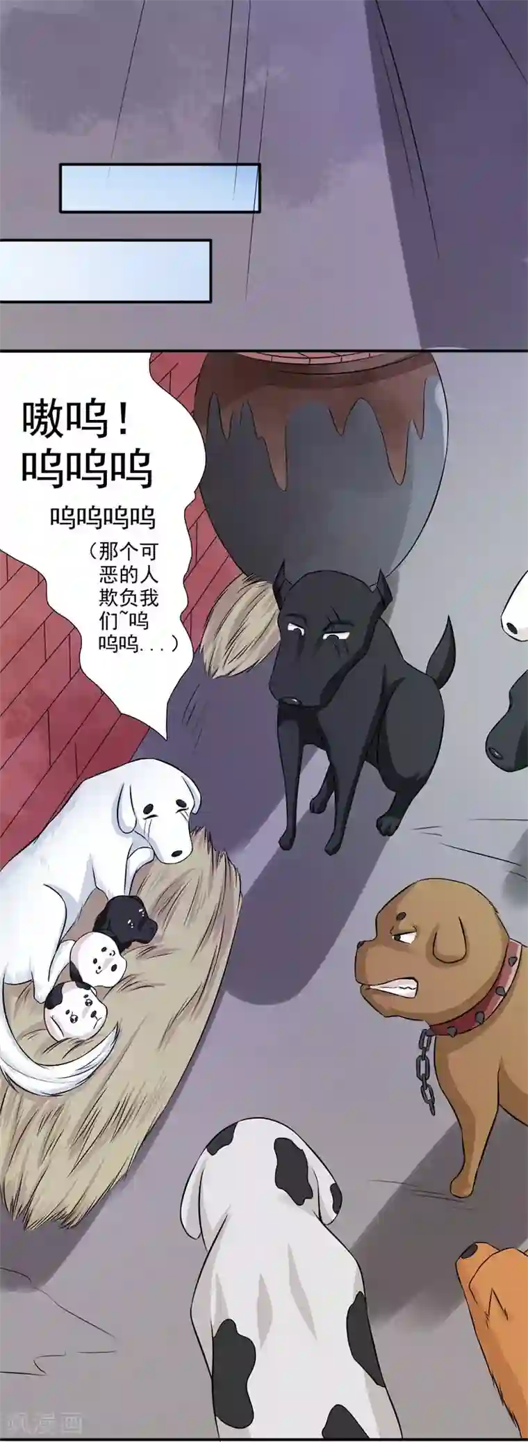 窈窕君子 女将好逑第21话 这是什么情况啊！