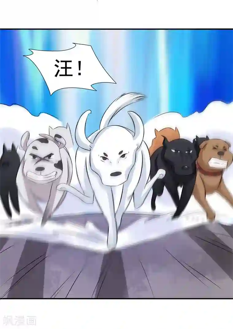 窈窕君子 女将好逑第21话 这是什么情况啊！