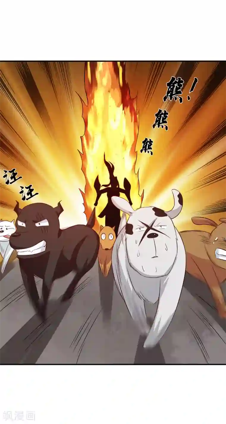 窈窕君子 女将好逑第22话 于心何忍