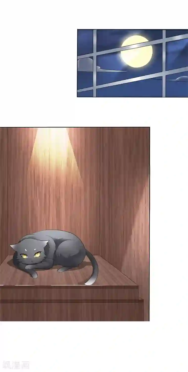 猫妖九生第3话