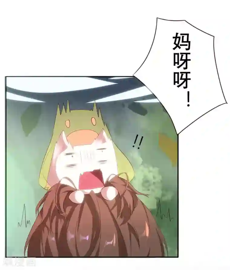 猫妖九生第11话