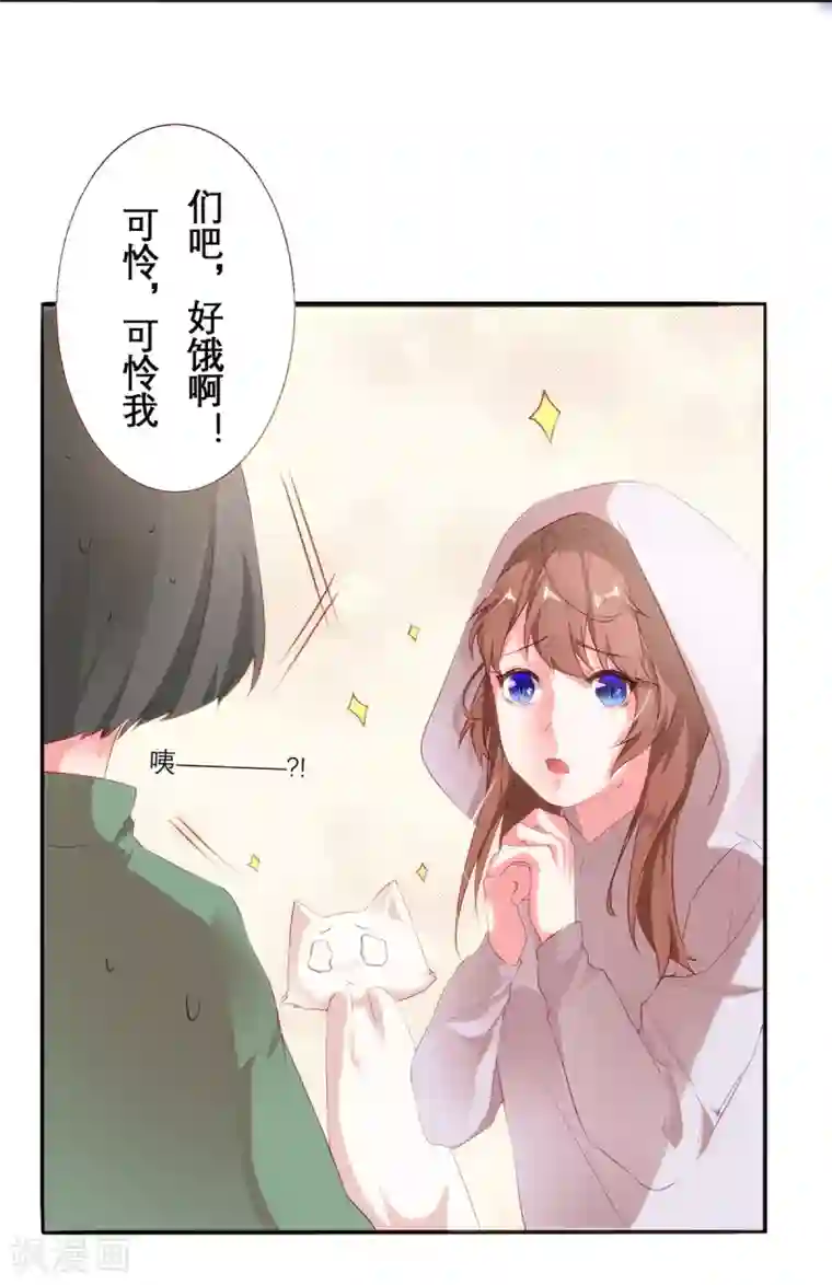 猫妖九生第12话