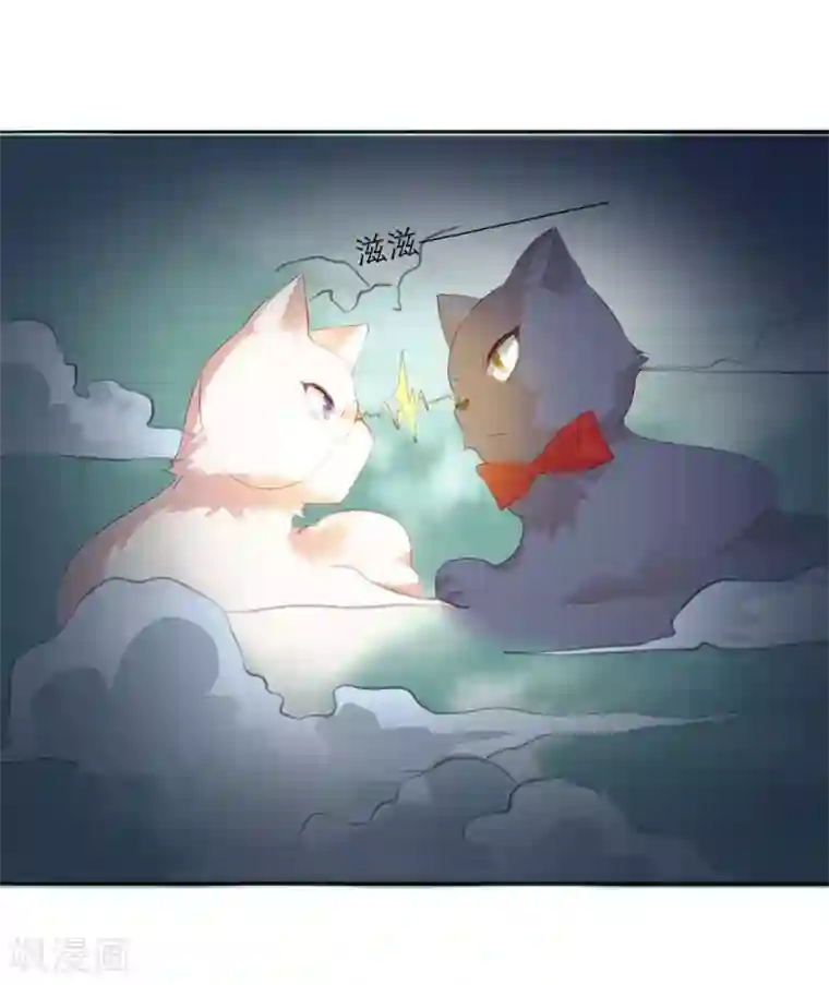 猫妖九生第13话