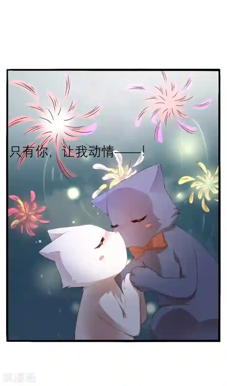 猫妖九生第13话