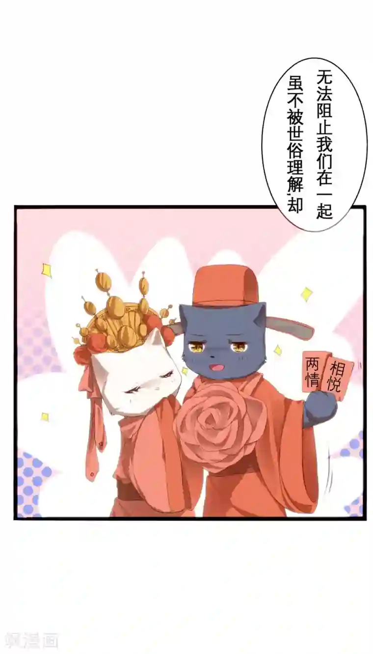 猫妖九生第13话