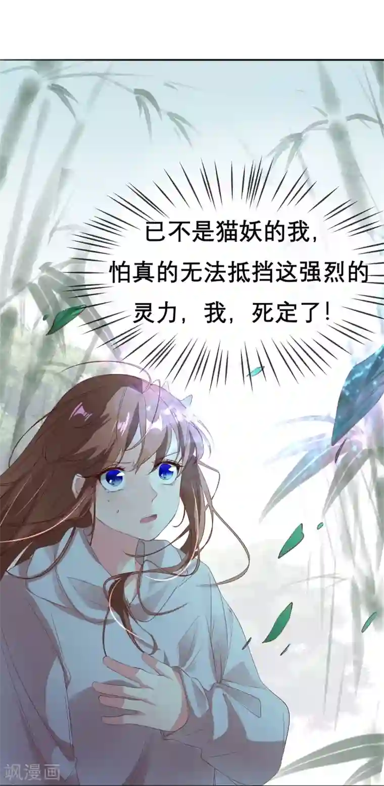 猫妖九生第15话