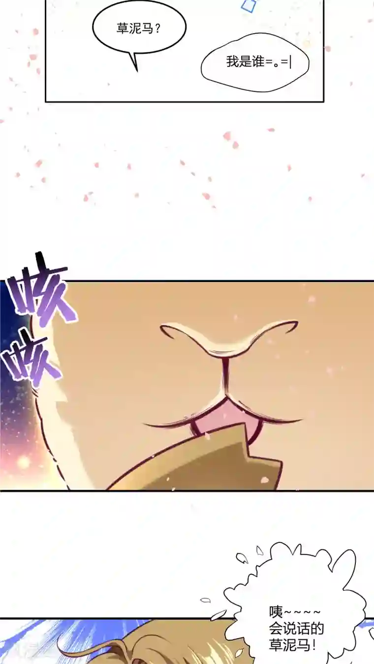 小皇书VS小皇叔预告