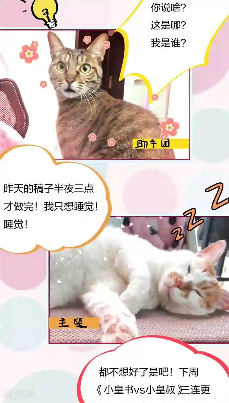 小皇书VS小皇叔第5话 差点被烧死