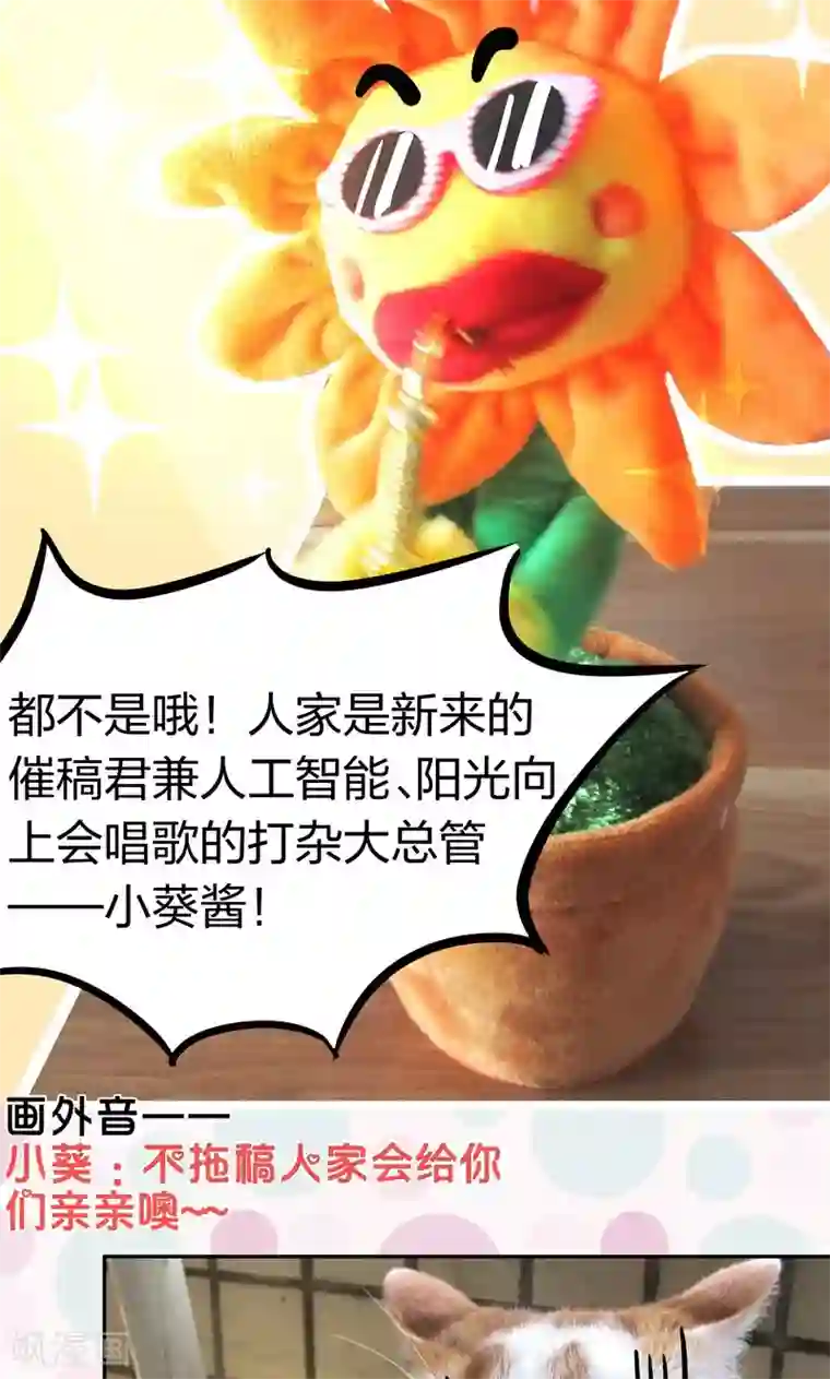 小皇书VS小皇叔第7话 我可是神书