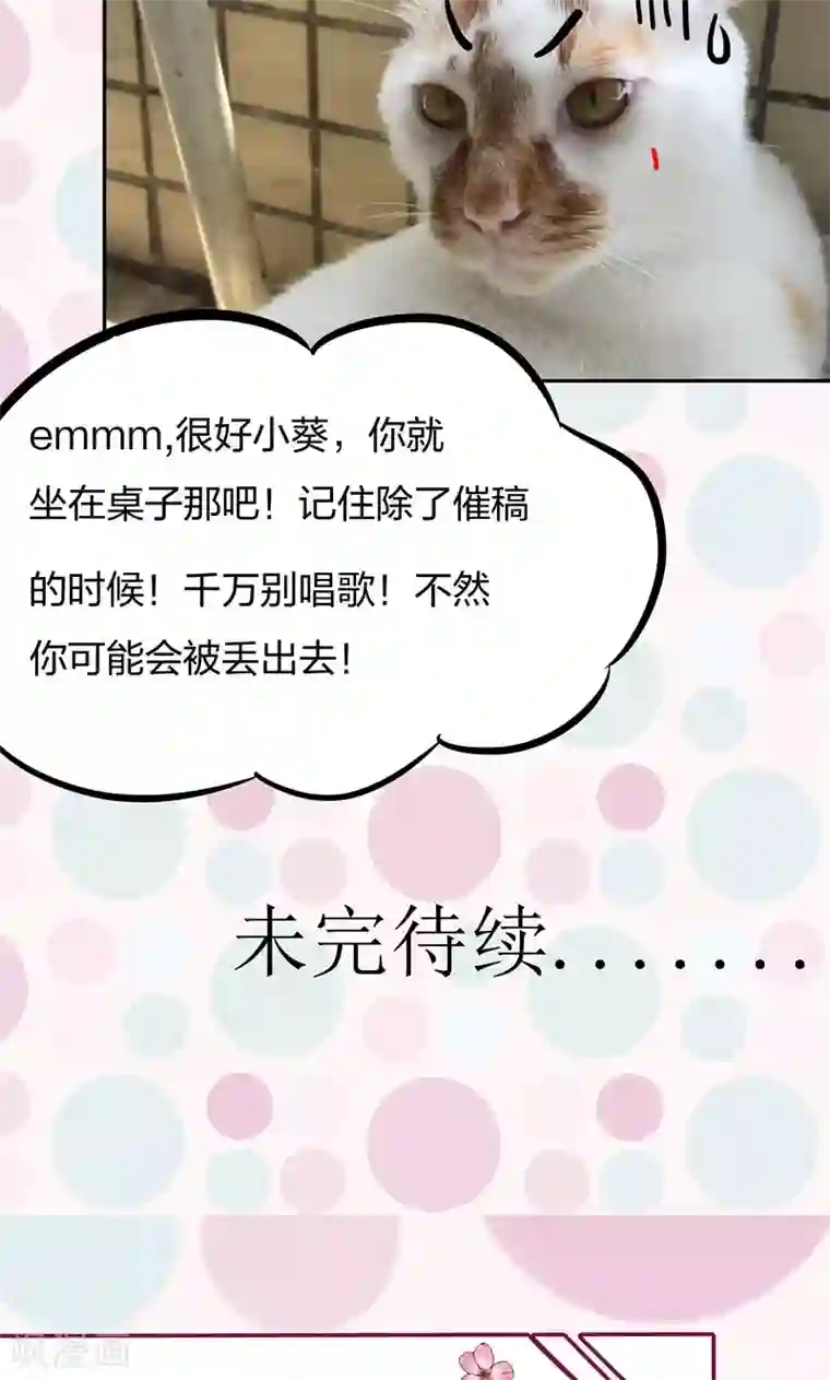 小皇书VS小皇叔第7话 我可是神书