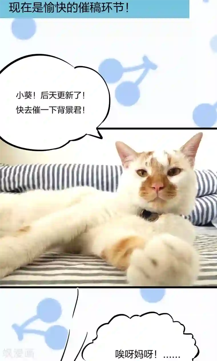 小皇书VS小皇叔第10话 王妃来了！