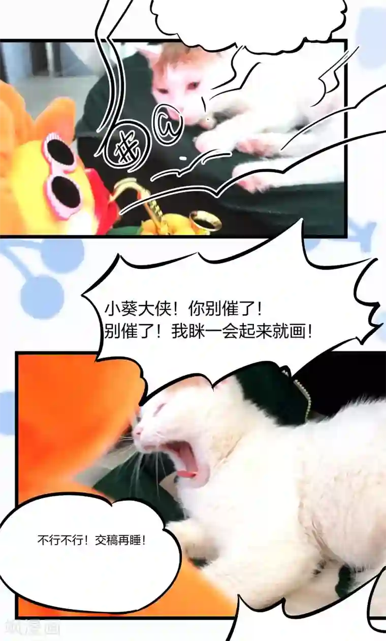 小皇书VS小皇叔第10话 王妃来了！