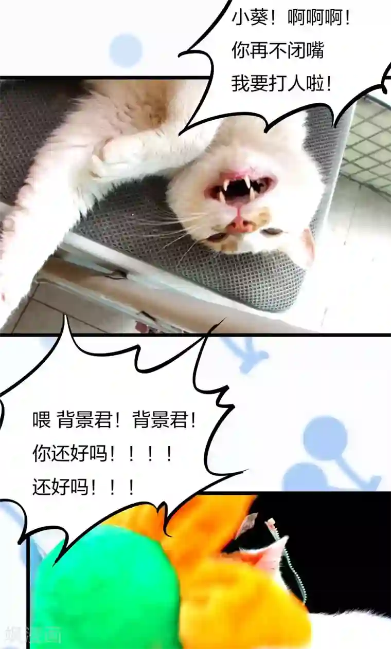 小皇书VS小皇叔第10话 王妃来了！