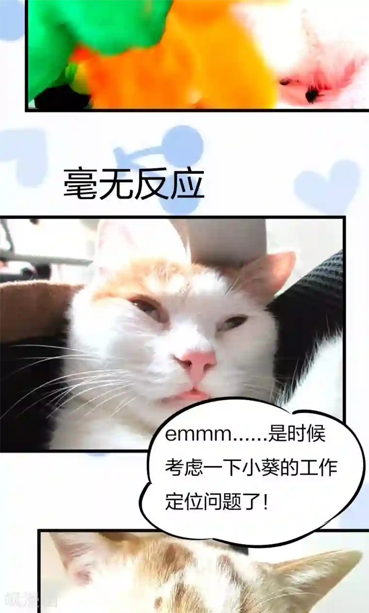 小皇书VS小皇叔第10话 王妃来了！