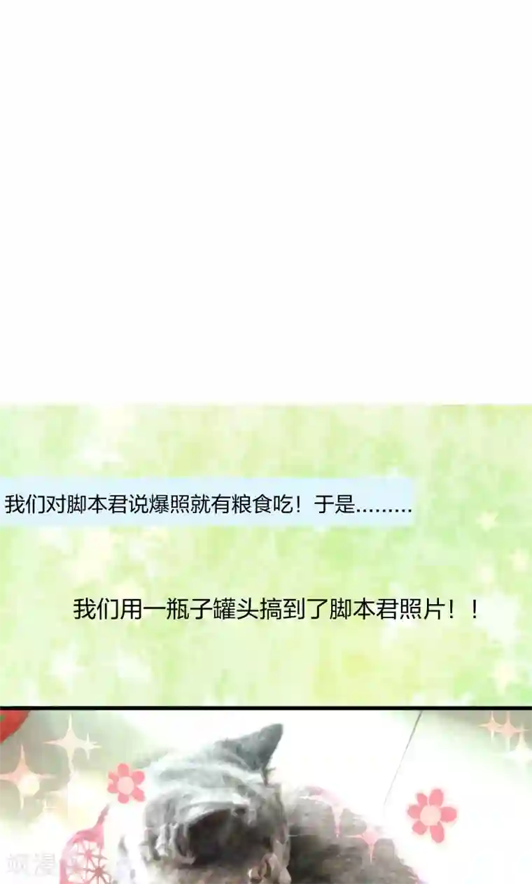 小皇书VS小皇叔第11话 送上门的王妃