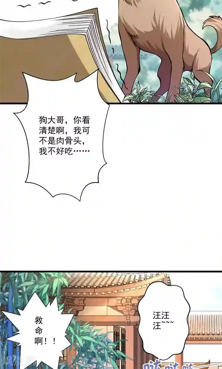 小皇书VS小皇叔第12话 被狗追了！