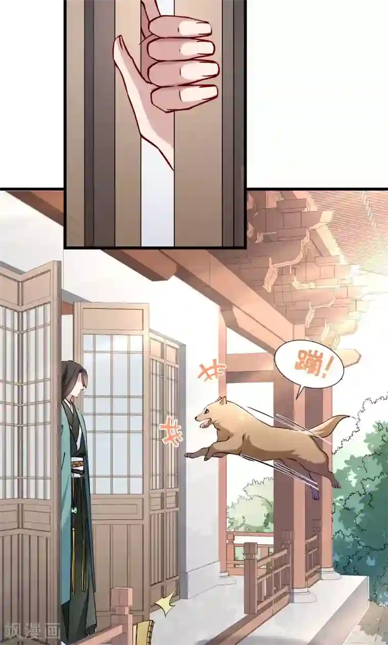 小皇书VS小皇叔第12话 被狗追了！