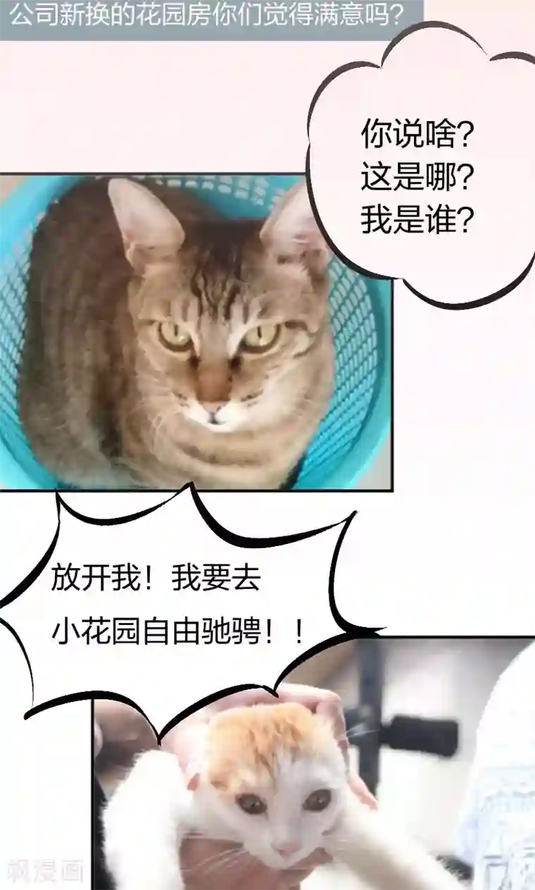 小皇书VS小皇叔第14话 吃香喝辣的书灵