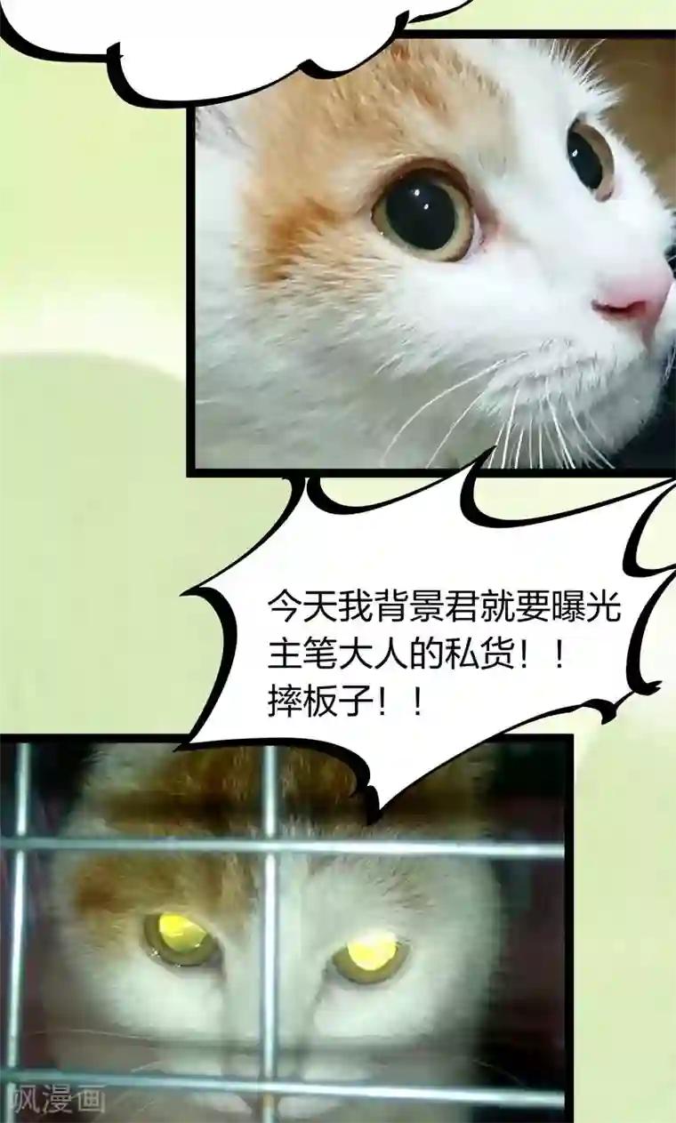 小皇书VS小皇叔第15话 给我一套衣服吧！