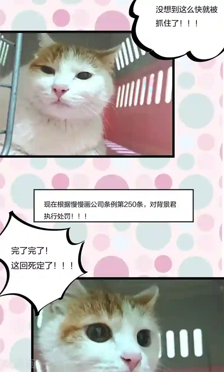 小皇书VS小皇叔第16话 有人要害小皇叔