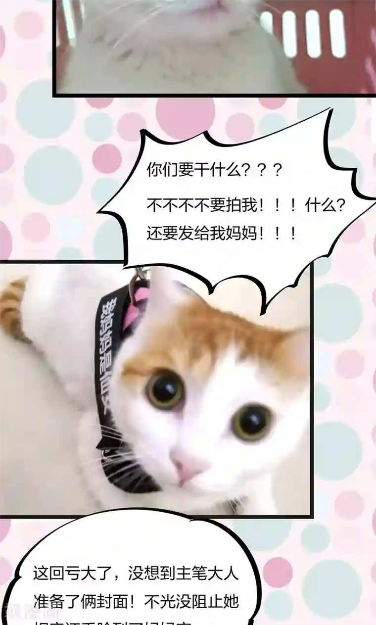 小皇书VS小皇叔第16话 有人要害小皇叔