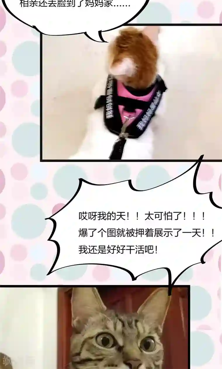 小皇书VS小皇叔第16话 有人要害小皇叔