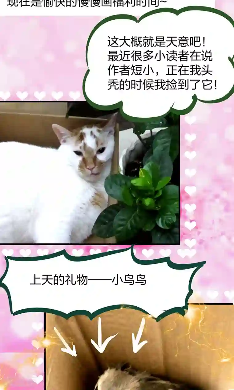 小皇书VS小皇叔第17话 美丽的小土壤