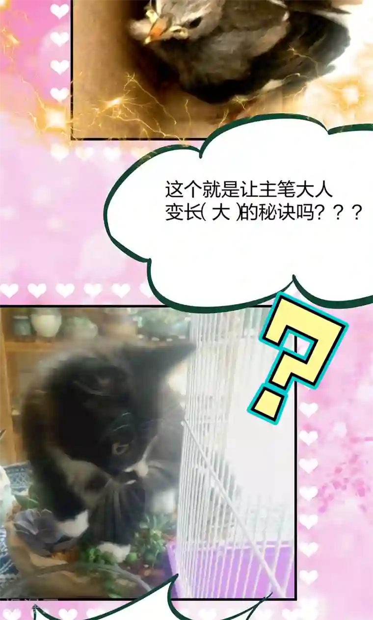 小皇书VS小皇叔第17话 美丽的小土壤