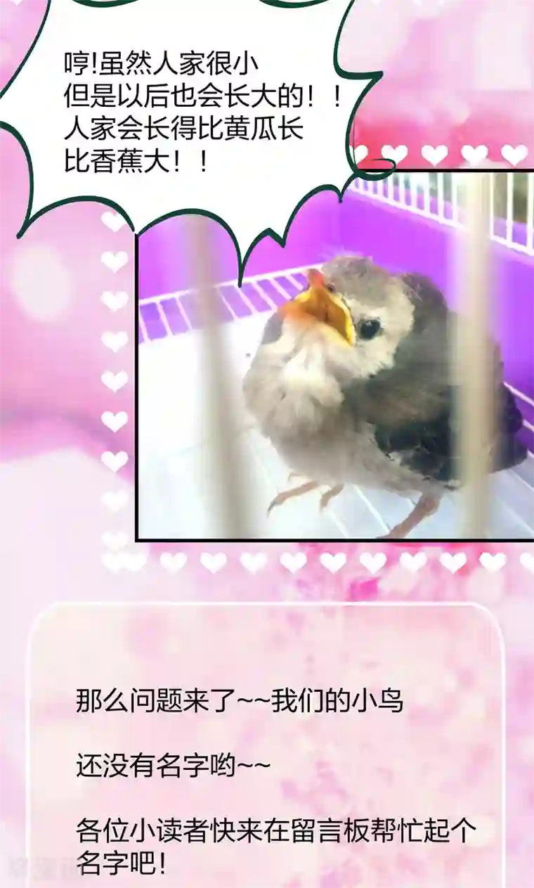 小皇书VS小皇叔第17话 美丽的小土壤