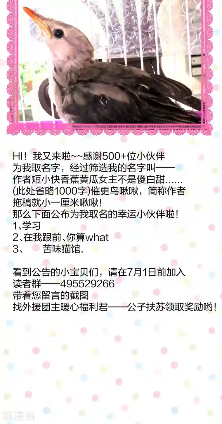 小皇书VS小皇叔第19话 春暖花开