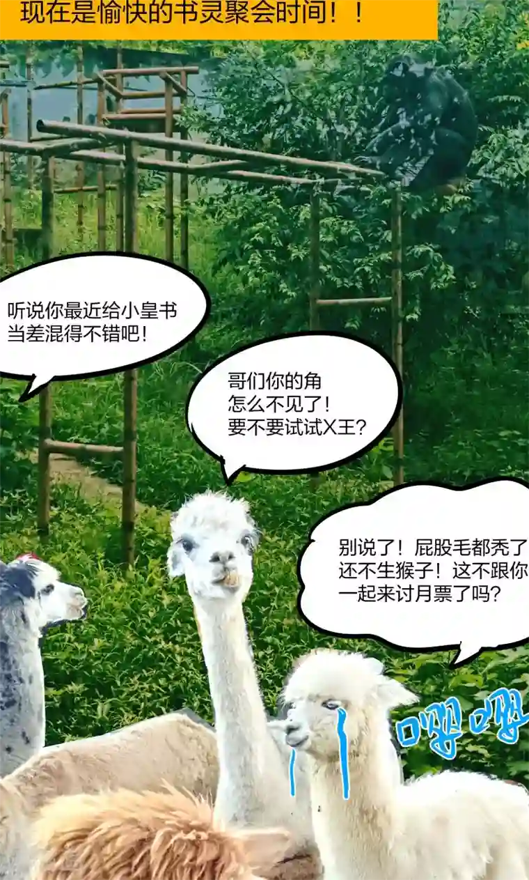 小皇书VS小皇叔第49话 那个女人到底谁