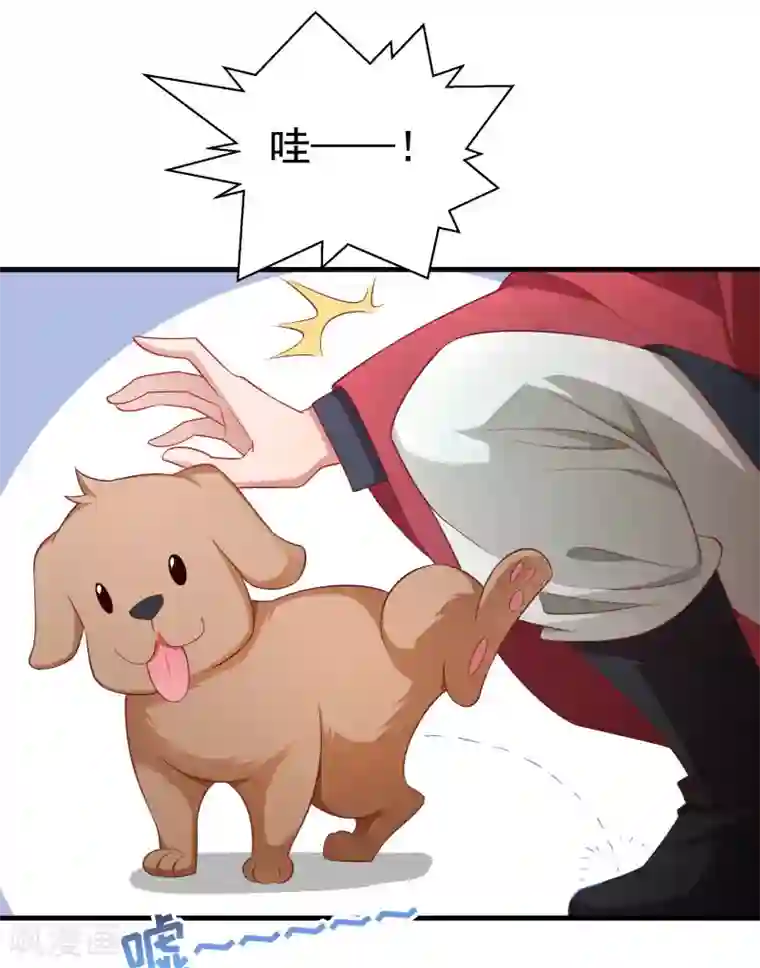 小皇书VS小皇叔第156话 我喜欢你