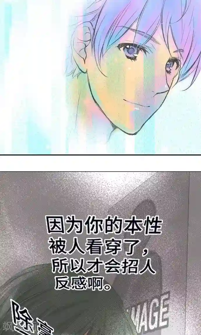 网红的代价第11话 母亲的战斗