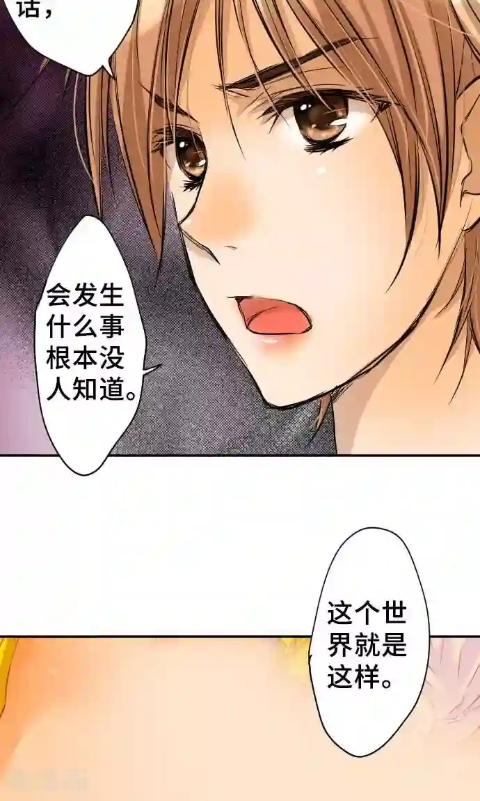 网红的代价第12话 逃亡