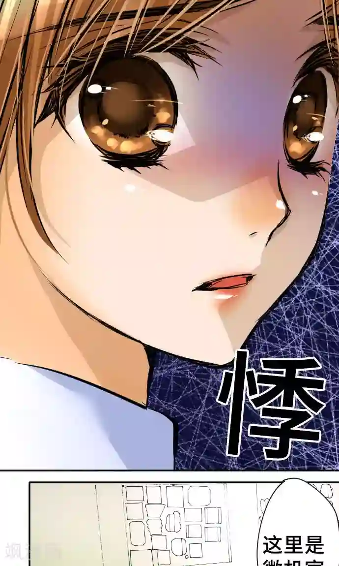 网红的代价第14话 现实