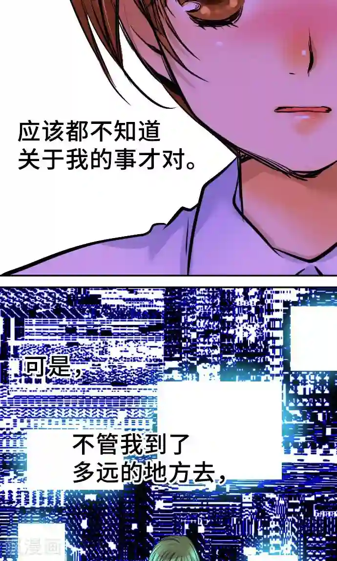 网红的代价第14话 现实