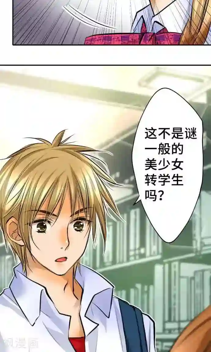 网红的代价第15话 新的交流