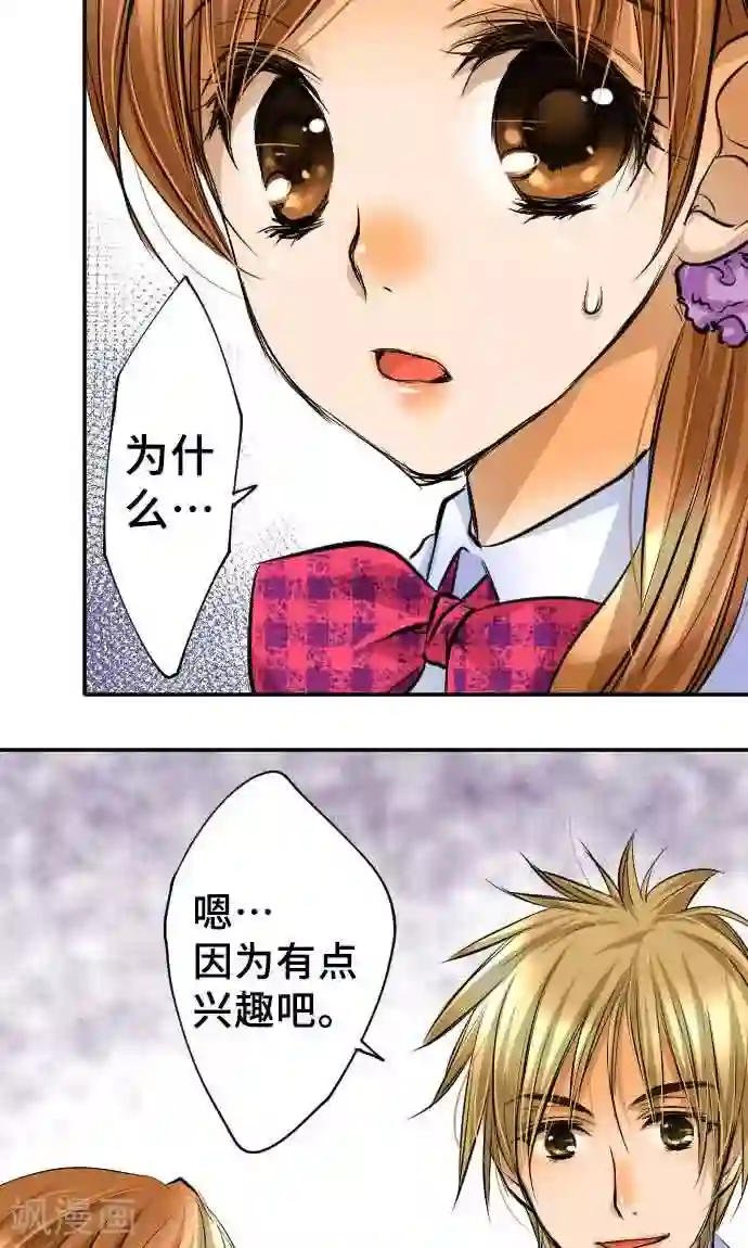 网红的代价第15话 新的交流