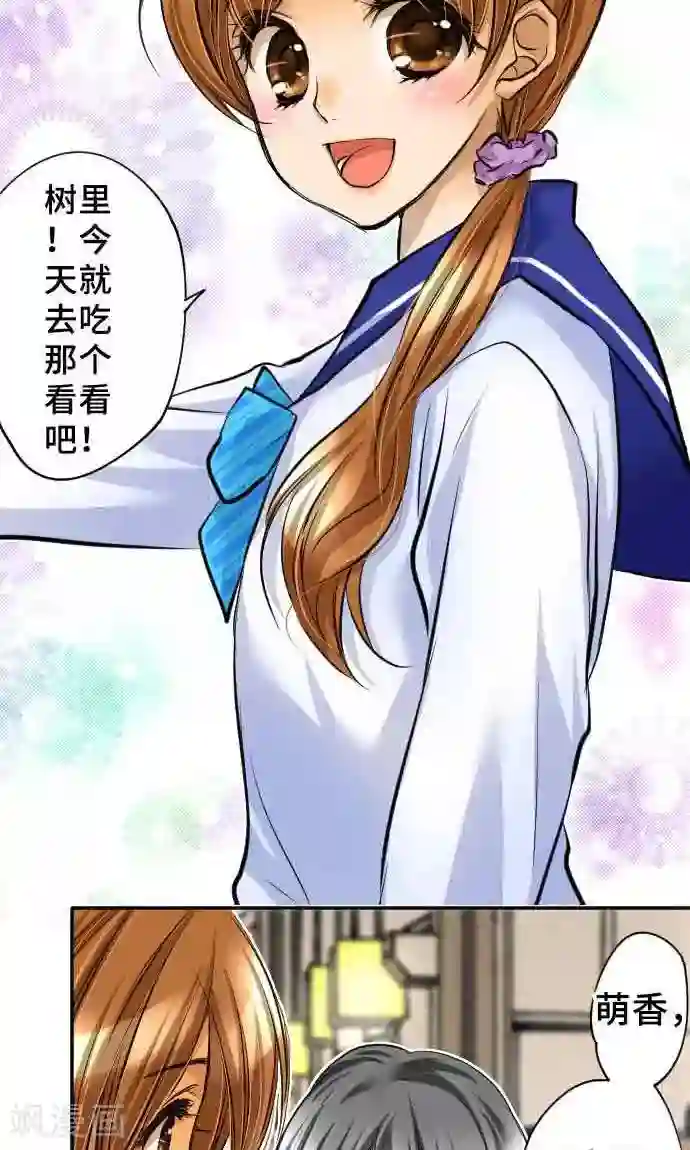 网红的代价第17话 真正的自己