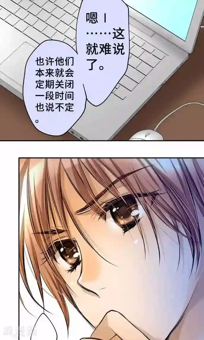 网红的代价第17话 真正的自己