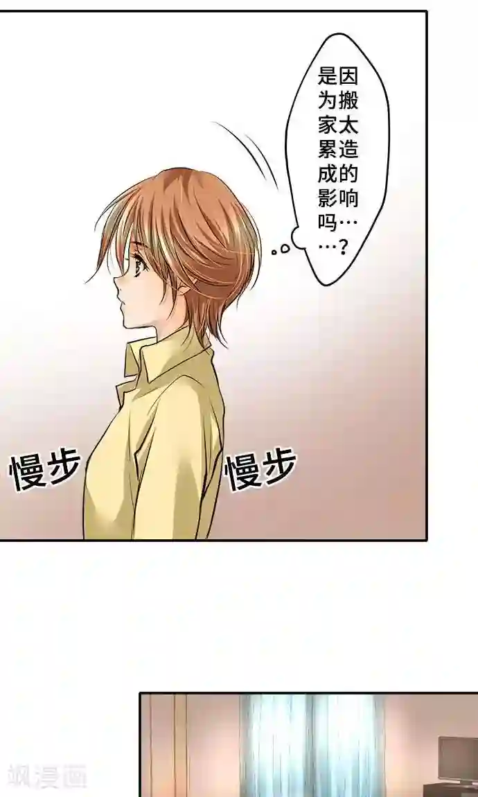 网红的代价第19话 发现