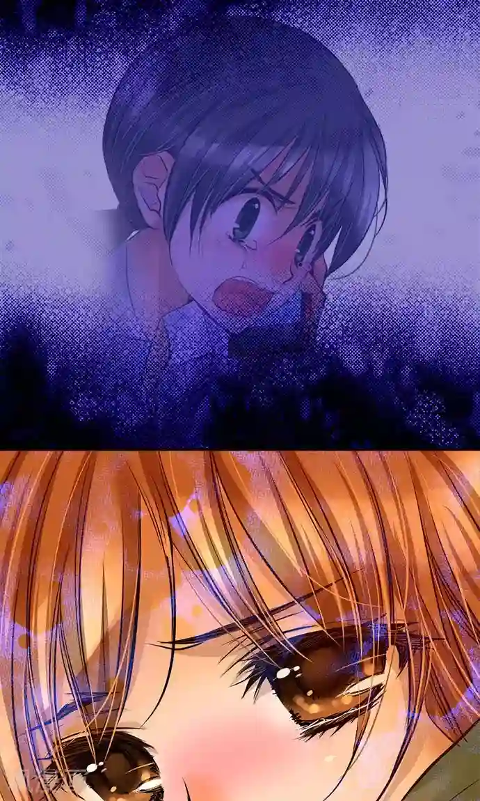 网红的代价第21话 不想失去的宝物