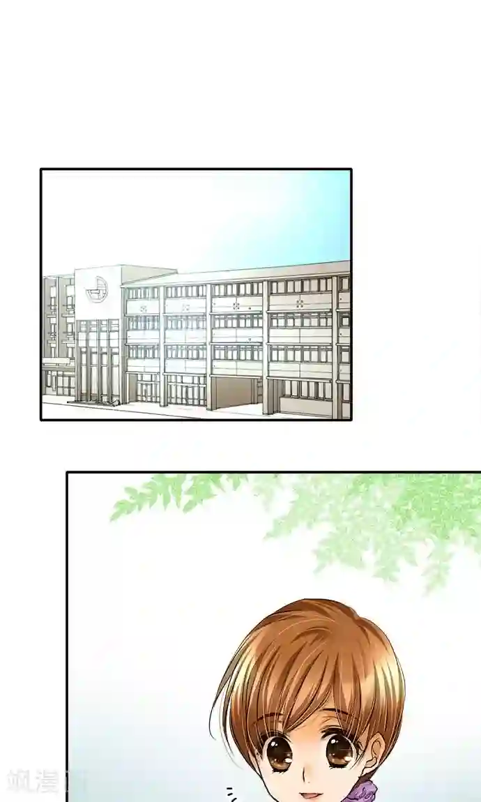 网红的代价第22话 浮现