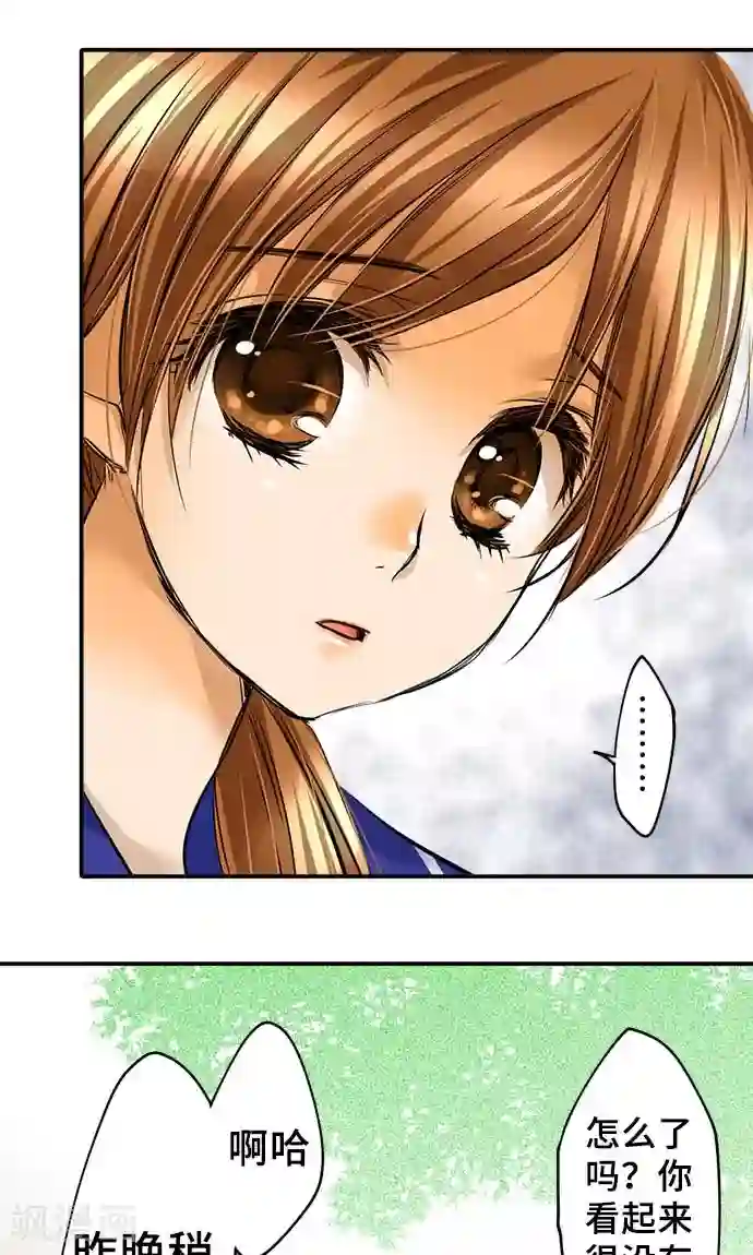 网红的代价第22话 浮现