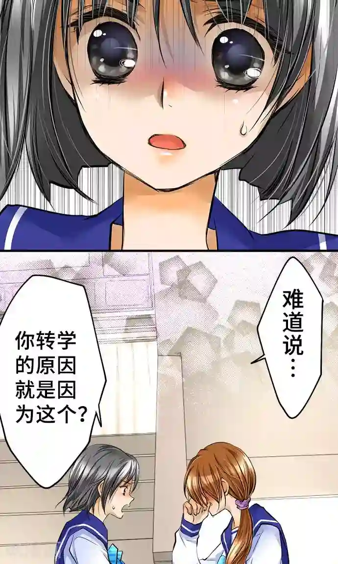 网红的代价第23话 泪