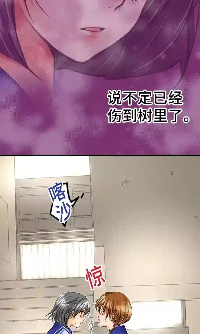 网红的代价第23话 泪