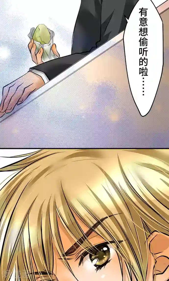 网红的代价第23话 泪