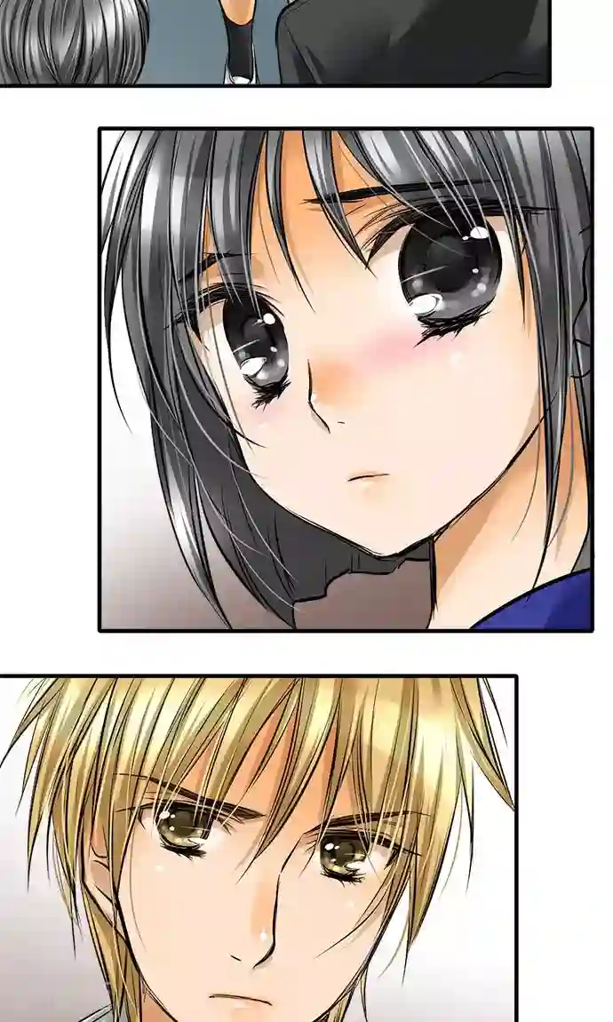 网红的代价第24话 觉悟