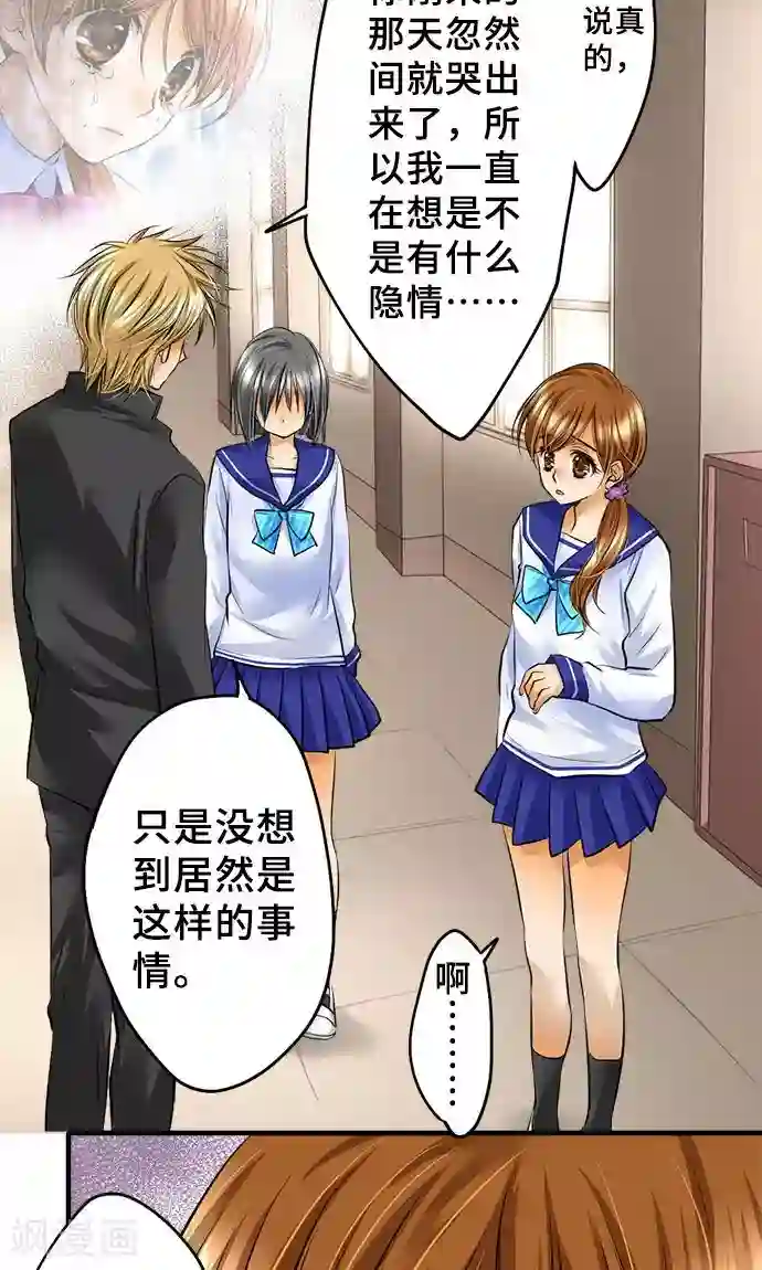 网红的代价第24话 觉悟