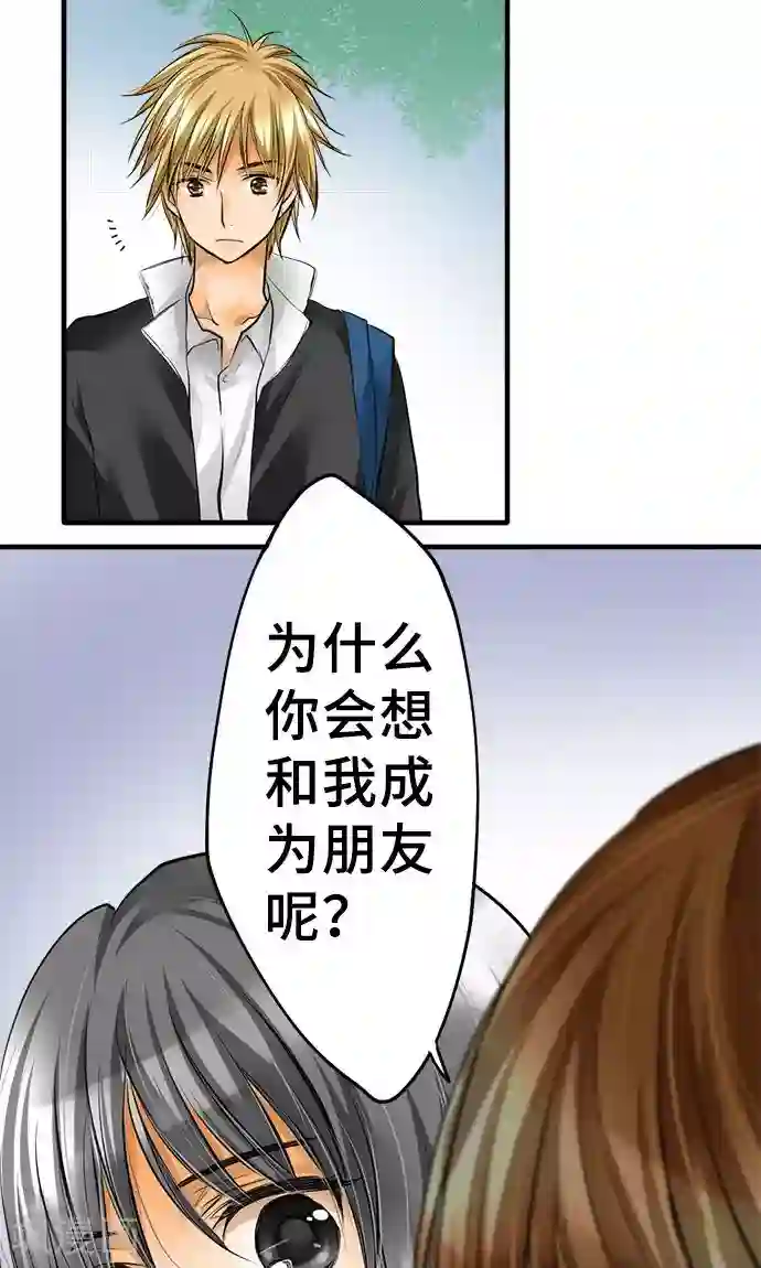 网红的代价第25话 理由